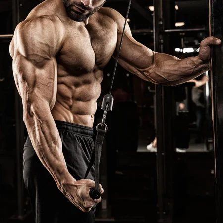 feature-image_87a28752-6da3-4be8-8814-d5221236136d